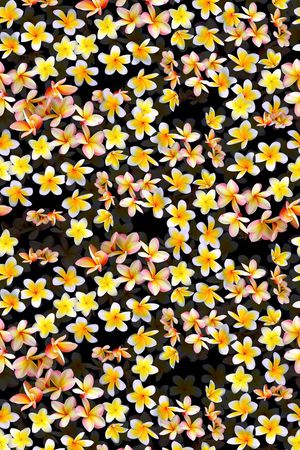 潮流时尚印花华亿平台图片