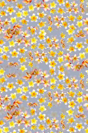 时尚优雅印花华亿平台图片