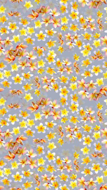 456776-时尚优雅小清新鸡蛋花渐变小碎花组合