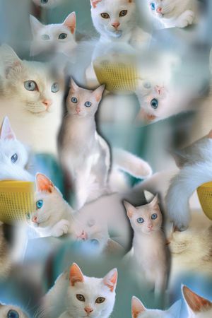 照片印花华亿平台图片