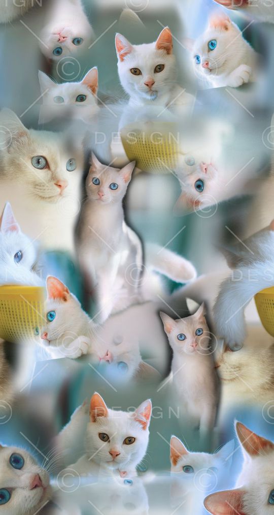 照片印花华亿平台图片