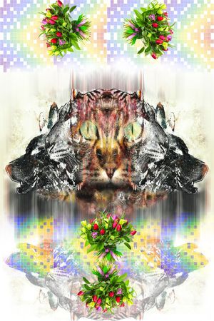 动物花彩格印花华亿平台图片