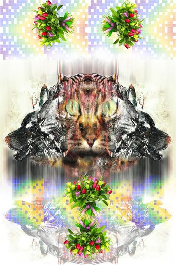 动物花彩格印花华亿平台图片