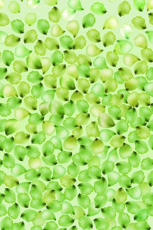 数码定位印花华亿平台图片