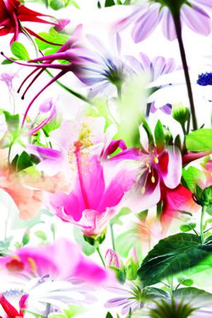 现代印花华亿平台图片