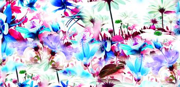 457122-花海-鲜花-迷幻-时尚