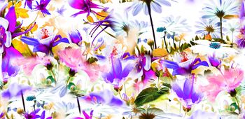 457123-花海-鲜花-迷幻-时尚