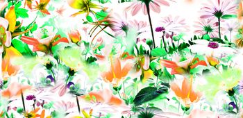 457124-花海-鲜花-迷幻-时尚