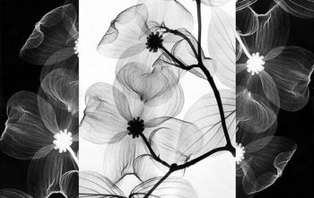 花朵印花华亿平台图片