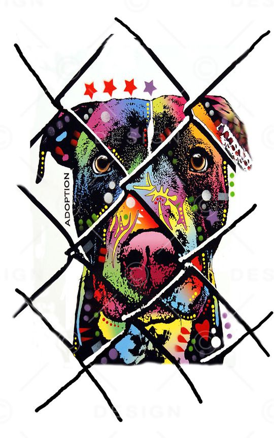 狗狗印花华亿平台图片