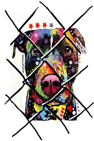 狗狗印花华亿平台图片