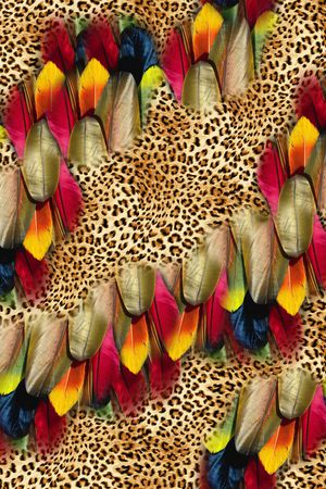 豹纹印花华亿平台图片