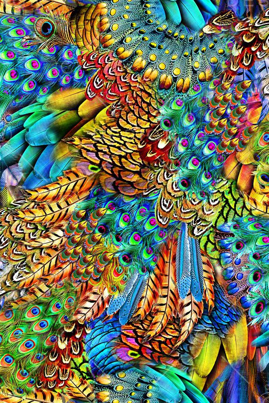 时尚印花华亿平台图片