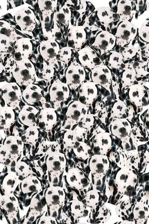 流行时尚印花华亿平台图片