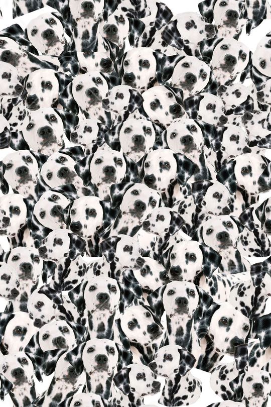 流行时尚印花华亿平台图片