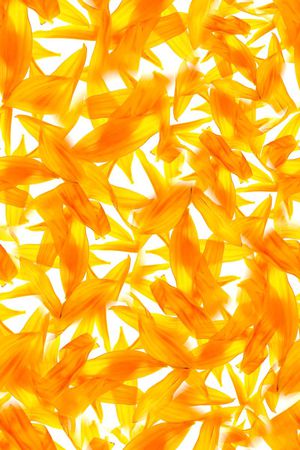 花瓣印花华亿平台图片