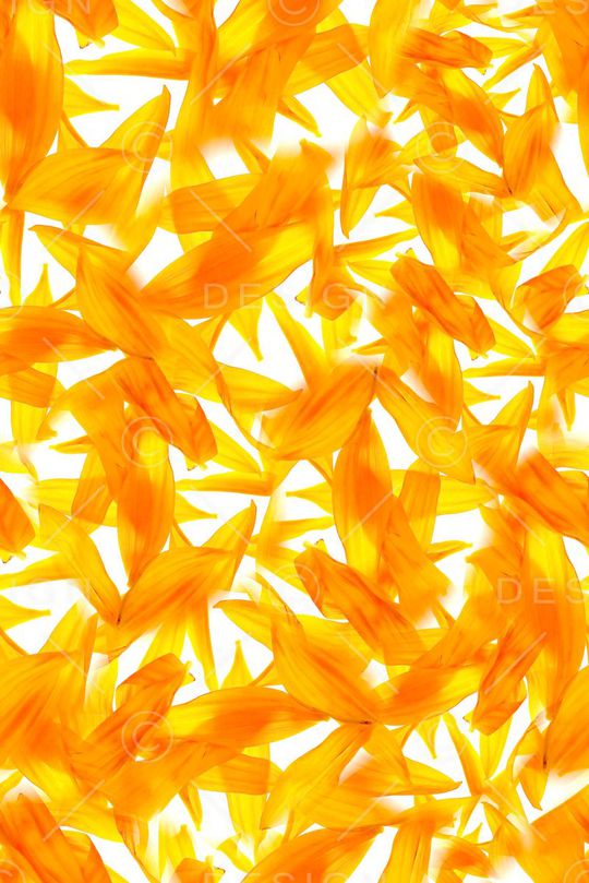 花瓣印花华亿平台图片