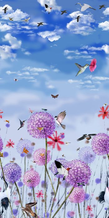 457687-白云蓝天背景蒲公英花卉定位