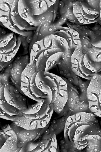 花边印花华亿平台图片