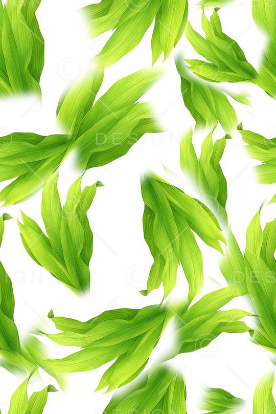 植物印花华亿平台图片