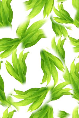 植物印花华亿平台图片