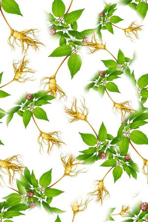 人参印花华亿平台图片