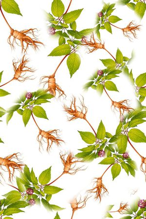 人参印花华亿平台图片