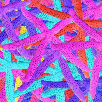 457784-海洋系列  海星跳接华亿平台  内衣 