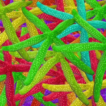 457785-海洋系列  海星跳接华亿平台  内衣 