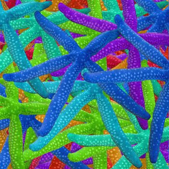 457786-海洋系列  海星跳接华亿平台  内衣 