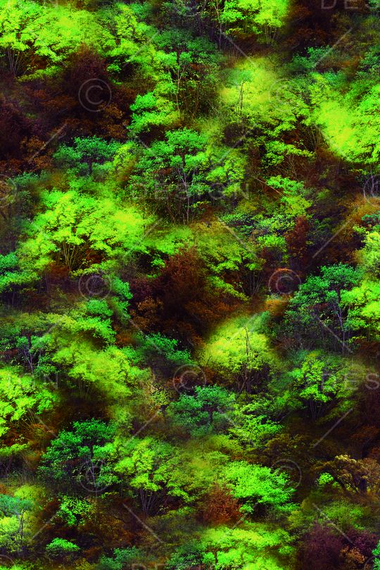 迷彩印花华亿平台图片