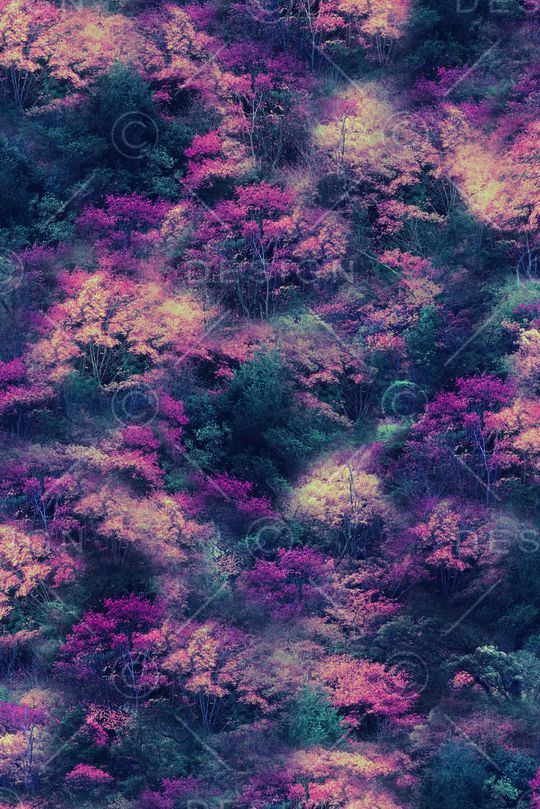 迷彩印花华亿平台图片