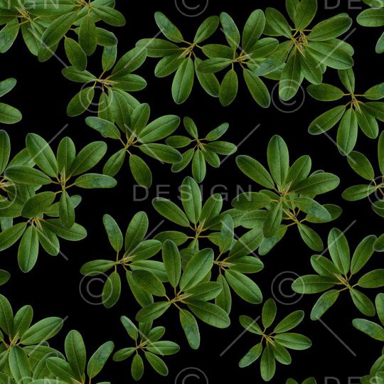 复古印花华亿平台图片