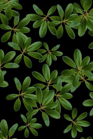 复古印花华亿平台图片