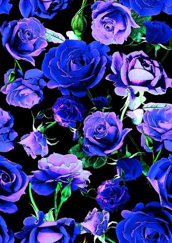 457980-紋理效果玫瑰花