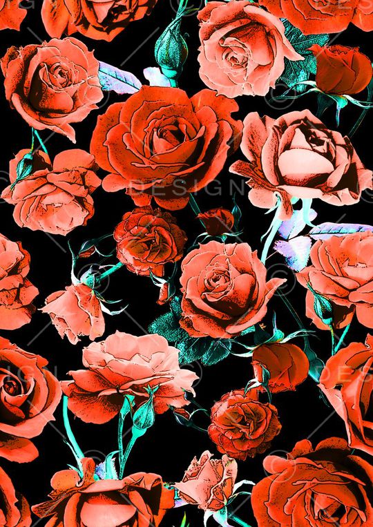 高貴玫瑰花印花华亿平台图片