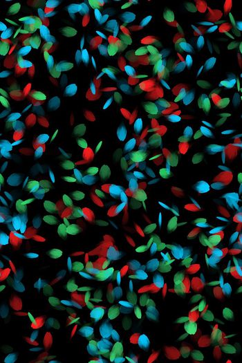 457985-抽象手绘花瓣撞色秋冬女装半身裙外套