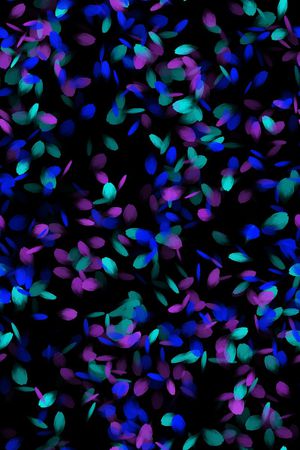 花瓣印花华亿平台图片