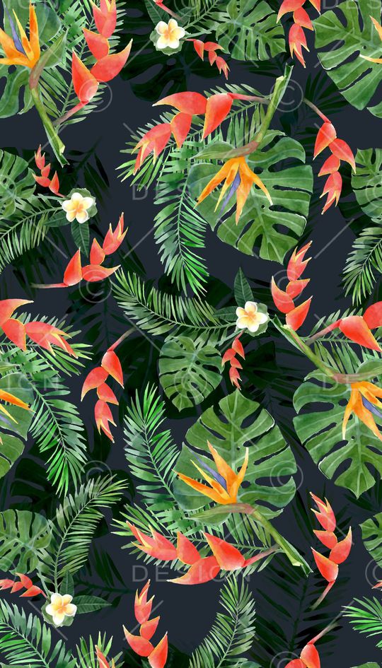 龟背竹印花华亿平台图片