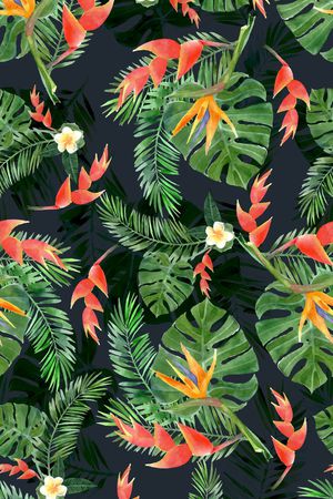 龟背竹印花华亿平台图片