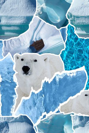 解构重组印花华亿平台图片