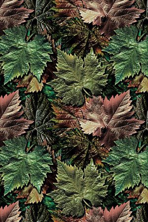 枫叶印花华亿平台图片