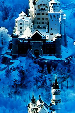 男女装 外套 华亿平台印花华亿平台图片