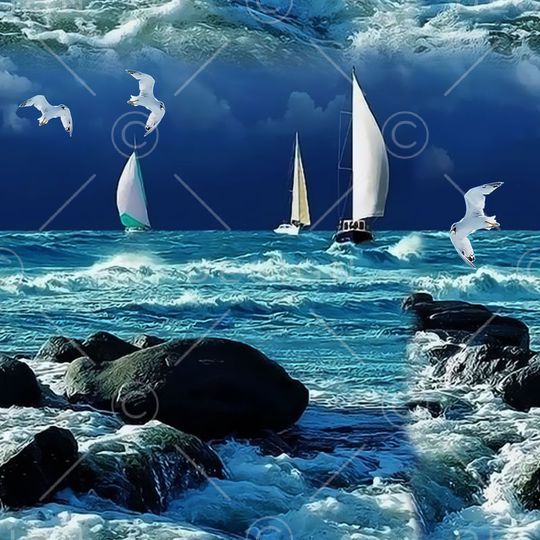 男女装 外套 华亿平台印花华亿平台图片