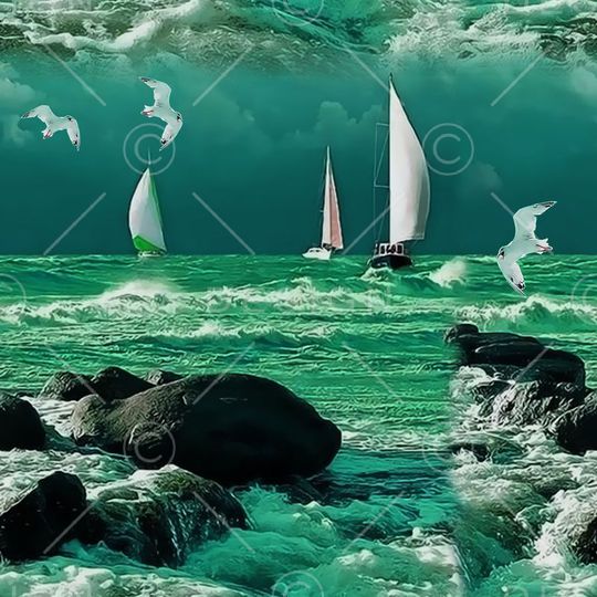 男女装 外套 华亿平台印花华亿平台图片