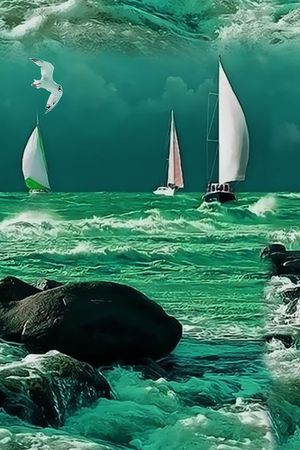 男女装 外套 华亿平台印花华亿平台图片