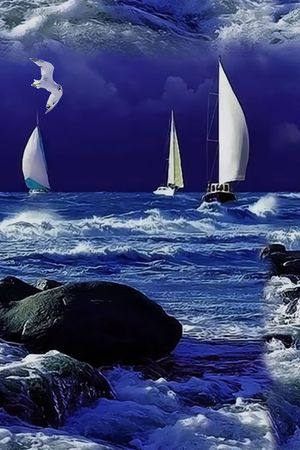 男女装 外套 华亿平台印花华亿平台图片