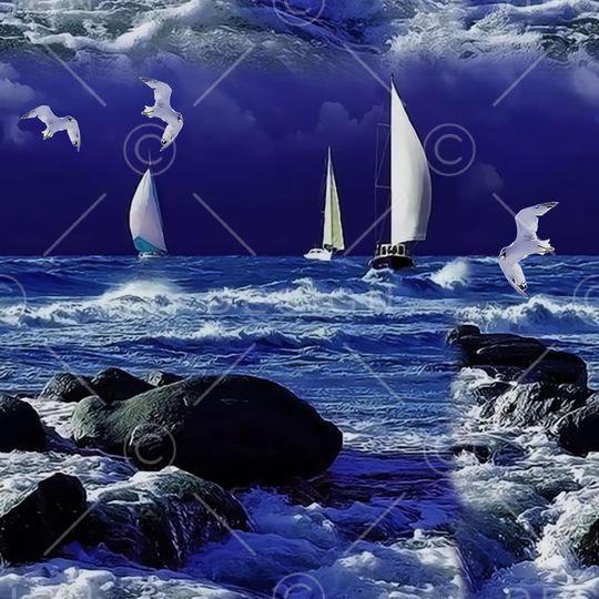 男女装 外套 华亿平台印花华亿平台图片