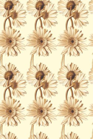 大牌印花华亿平台图片