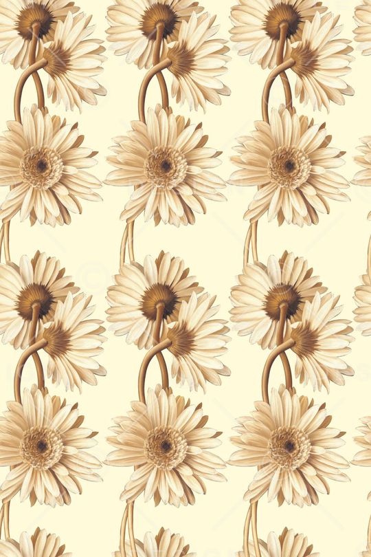 大牌印花华亿平台图片